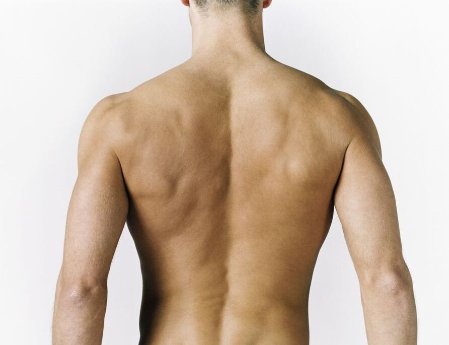 Back myositis is the cause of pain between the shoulder blades